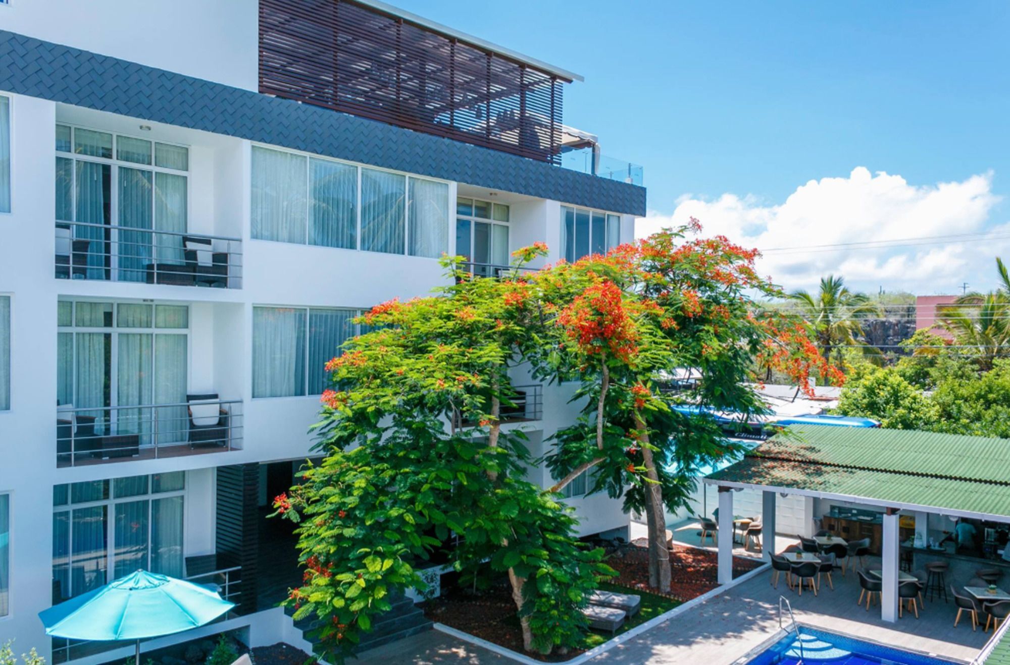 Ikala Galapagos Hotel Puerto Ayora  Zewnętrze zdjęcie